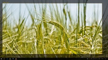 Screenshot App | VB.NET/C# | with Source Code | Winforms