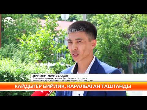 Video: Өрөөндү дарылоонун 3 жолу