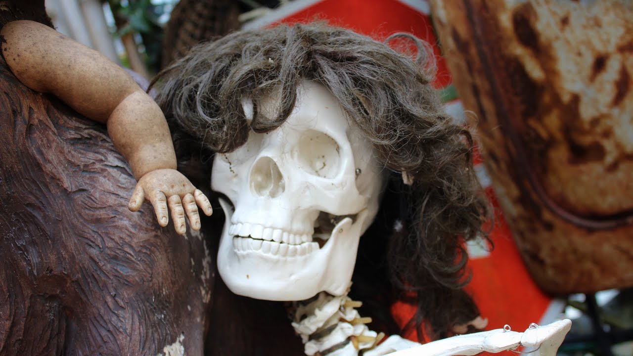 Oddities and Antiques - Clearwater, Florida