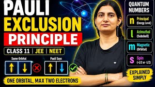 Pauli Exclusion Principle Explained | Quantum Numbers(n,l,m,s) Easy Tricks | Class 11 & 12 Chemistry