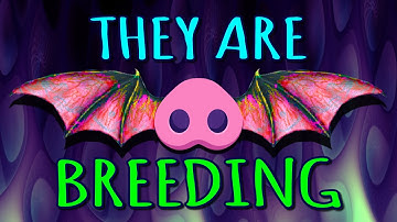 Fantom NFT with a very special roadmap: POTLUCK PIGS