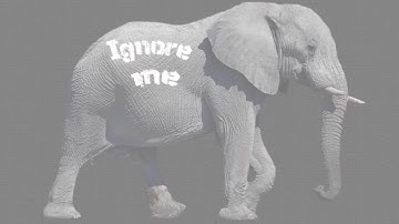 Speed Up Wordpress Woocommerce Site