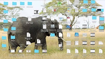 IBM Mobile App Builder ( Coming Soon )
