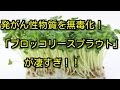 発がん性物質を無毒化！「ブロッコリースプラウト」が凄すぎ！！