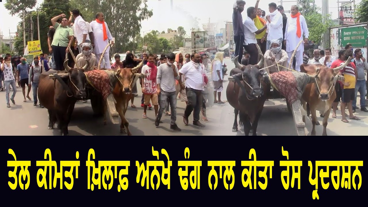 Garhshankar : Congressi boarded a cart against oil prices