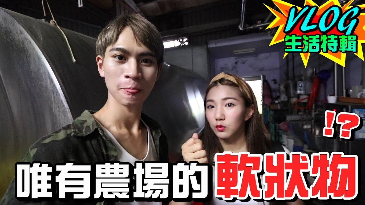 體驗農場人工擠牛奶 觸感竟像人類的…！？【眾量級CROWD｜VLOG生活特輯】