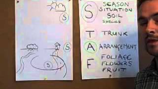 Identifying trees. Using the S.T.A.F. system.