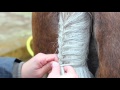 Cómo trenzar la cola de tu caballo