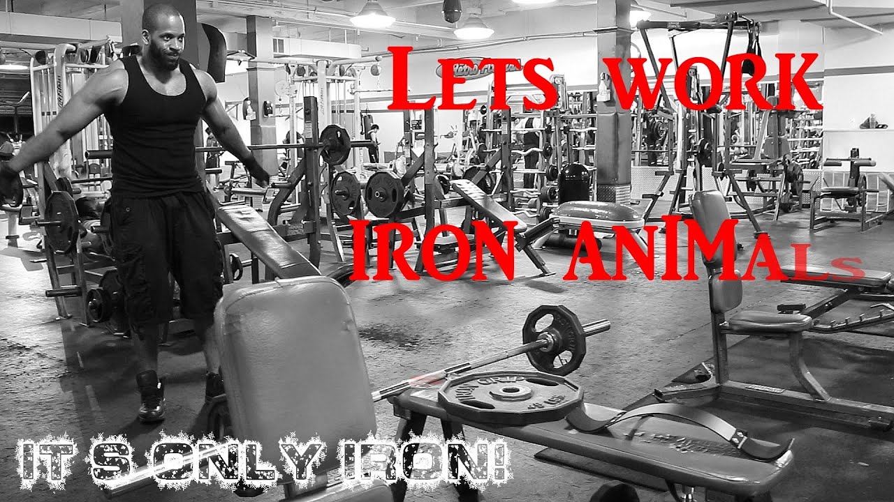 black seed oil benefits dr axe CHEST SHOULDERS & BICEP MUTILATION #SMALLCHANNELSUNITE