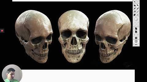 AP Biology #2: Chapter 1 Part 1 - Evolution, Emergent Properties, and Levels of Organization