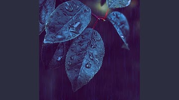 High-class Moods for Rain and Focus