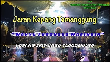Jaran Kepang Temanggung//"Wahyu Turonggo Waringin"//{WTW}//Lobang Sriwungu//Live Sudikampir//310722