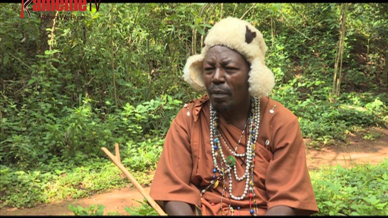 Wanjiku niwe kihumo kia muhiriga wa agaciku ngumo yao ari kio na waragania