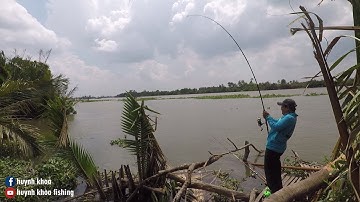 TRÃI NGHIỆM CÂU CÁ TRA KHỦNG SÔNG VÀM CỎ TÂY LONG AN
