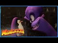 DreamWorks Madagascar | Call Off The Hunt | Penguins of Madagascar Clip