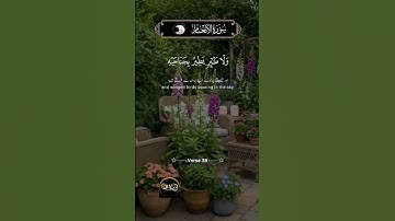 تلاوةعطرةمن كتاب الله العزيز #تيك_توك #المصحف #duet #اكسبلور #حالات_واتس #يصلك #لايك #الرحمن