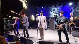 Neville Staple Band - From The Specials - Monkey Man (Sosno Ska Party 2022) - fragment