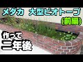 【前編】植物が育つ育つ! メダカの大型ビオトープの2年後!#メダカ#ビオトープ