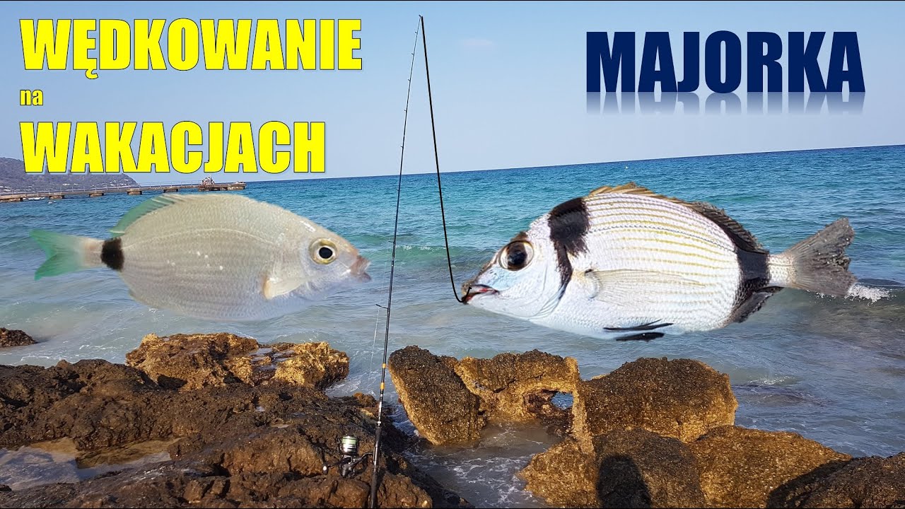 Łowienie ryb z brzegu na Majorce. Wędkarstwo morskie. Wakacyjne wędkowanie.
