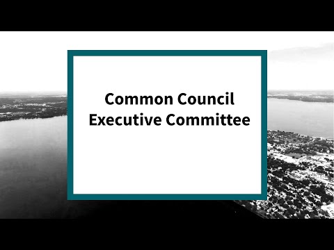 Common Council Executive Committee: Meeting of March 1, 2022