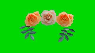 FLOWER CANOPIES green screen effects