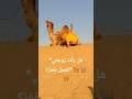 *هل رأت زوجتي الجمل يقفز؟*🐪🐫🐫🐪🐪🐪🐪