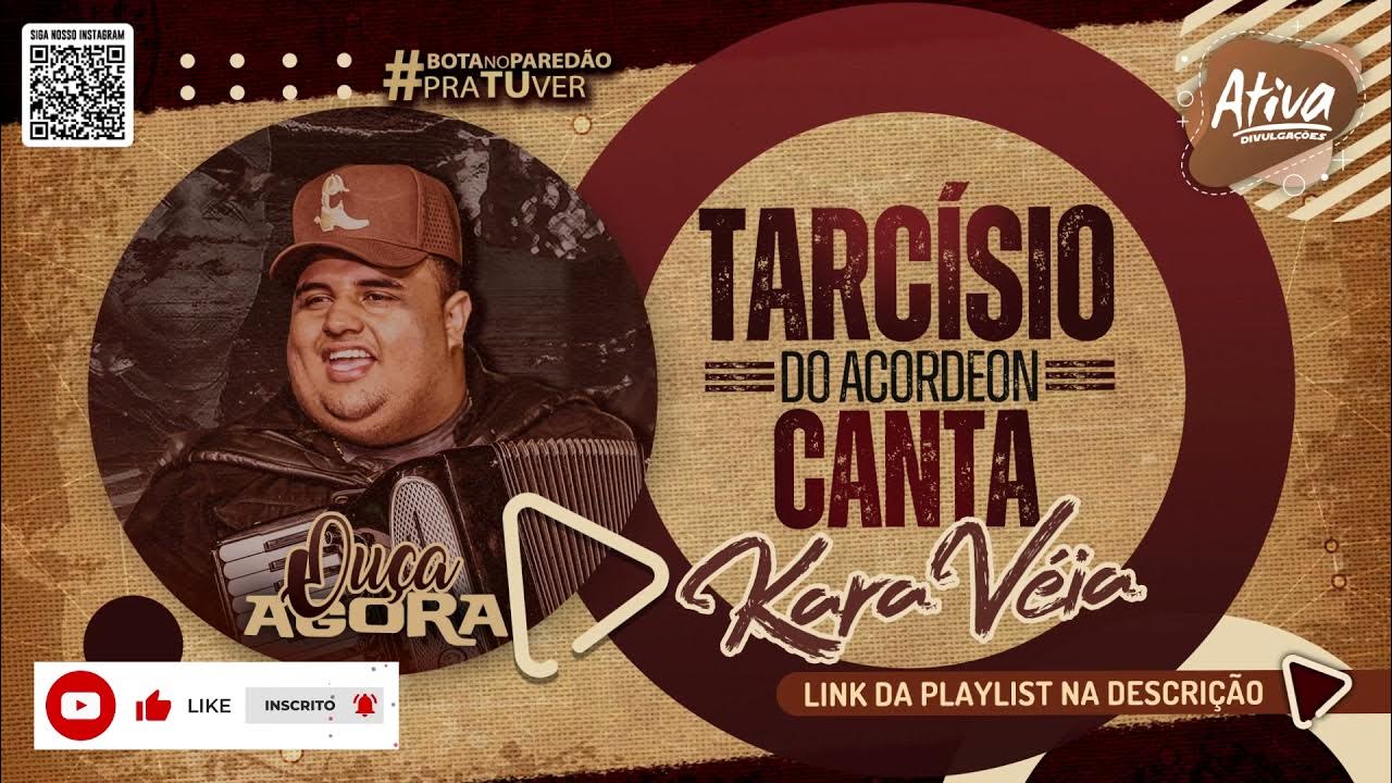 Agora é minha vez - Tarcísio do acordeon (Canta Kara Veia) #playback #forró  #vaquejada #music #música #producaomusical, By Danilo Sample