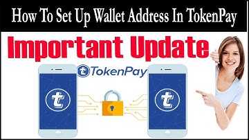 How To Set Up Wallet Address In Tokenpay - Important Update Token Pay Wallet In Urdu/Hindi