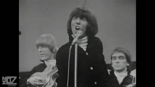 Video thumbnail of "The Easybeats - I'll Make You Happy (1966)"