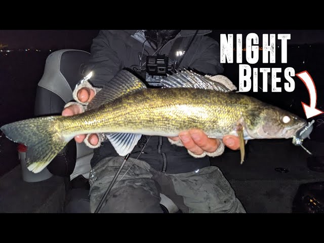 Catch More At NIGHT! - Spring Walleye Fishing 