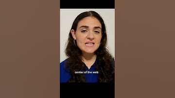 What are cognitive Functions?