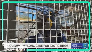 Providing lifelong care for exotic birds: Community Connection (Hudson)