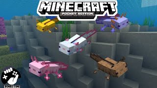 All About Axolotl in Minecraft PE screenshot 2