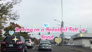 🚘 Driving on a Beautiful Fall Road | Stamford, CT 🍁