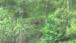 20140531115846 1