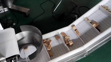 Linear combination weigher(hopper type) for chicken leg