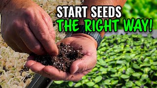 should you start your own seeds