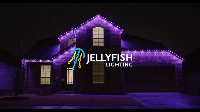 Christmas Lighting Controller - JellyFish Lighting