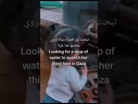 طوفان الاقصى شاهد يبكي الحجر الله الله الله يقطع القلب حسبي الله ونعم الوكيل ع ا س ر