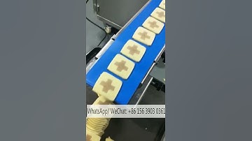 Automatic Panda Penguin Shape Cookies Making Machine Dual Colors Biscuit Maker Encrusting Machine