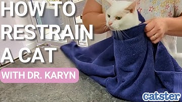 Vet shows how to restrain cats | #howto #catcare #catgrooming