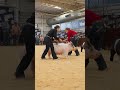 Giving it their all. #arizonanational #aznational #livestockshow #stockshowlife #pig