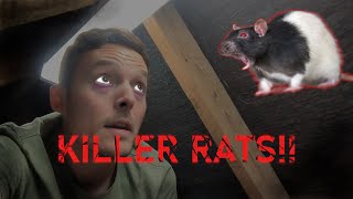 RAT INFESTATION IN ROOF SPACE!! And Insulating The Roof by Froy Whernside 711 views 1 year ago 20 minutes