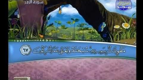 أواخر سورة الزمر بصوت القارئ محمود عبد الحكيم