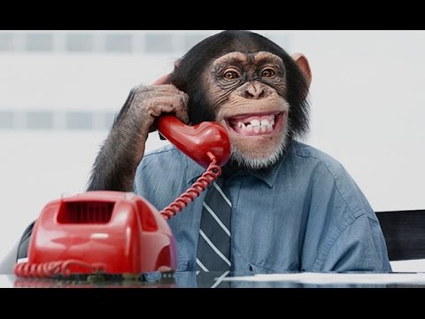 ყველაზე მაგარი სიმღერით  გილოცავთ ახალ წელს