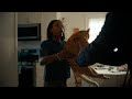 New cat  chewy commercial