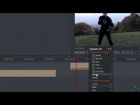 Lightworks Tutorial Changing