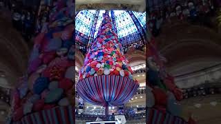 Ginnastica Mattutina Del Lunedì Mattina - Fallomi - Il Contestuatore