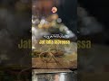Abdelkader Ghayt Jat Lalla La3rossa جات لالة العروسة Anachid 100 Mariage عبد القادر غيث Music Abdelkader Ghayt Jat Lalla La3rossa جات لالة العروسة Anachid 100 Mariage عبد القادر غيث Music