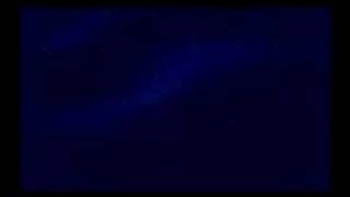 The Lion King Forever Alone